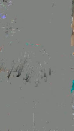 今日はの記事動画