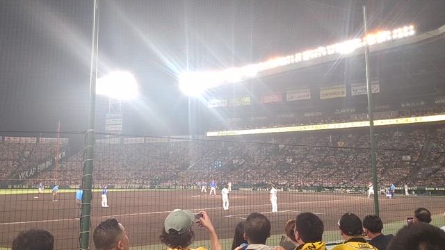 兵庫・西宮_甲子園球場  ㊗️阪神タイガース優勝の記事動画