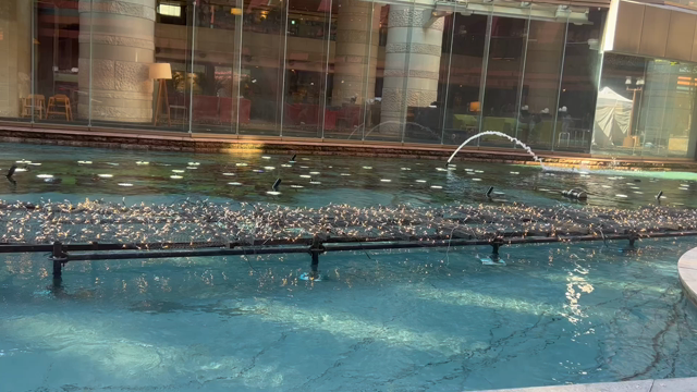 キャナルシティ博多の噴水ショー【動画あり】の記事動画