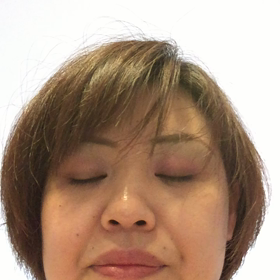 私は歌手にはなれないの画像