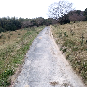 森林街道(勝手に名付けてます)全貌紹介のサムネイル画像