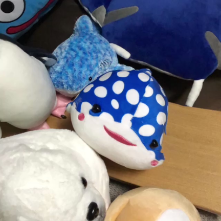 マヤ暦K18 あけましておめでとうございますの記事動画