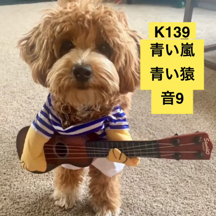 マヤ暦KIN１３９　楽しい事、好きな事をしたら応援される。方針の変更が良い時です。の記事動画