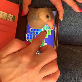ぶんちゃんマジギレの画像