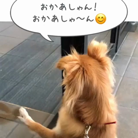 お散歩の画像