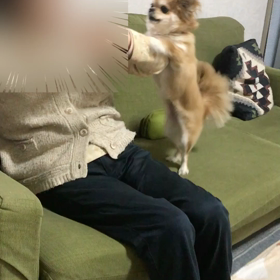 しつこいの画像