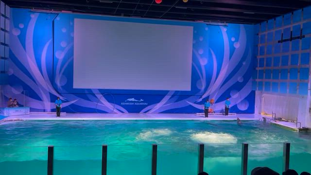 浅虫水族館／水族館説明〜イルカショーの記事動画