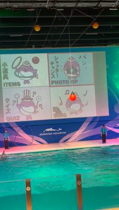 浅虫水族館／水族館説明〜イルカショーの記事動画