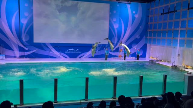 浅虫水族館／イルカショーの記事動画