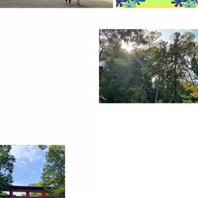 ”2025年10月19日(日)サードオピニオンのお知らせ（北大宮）”の画像