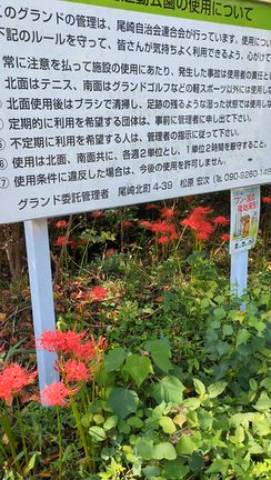 ”般若心経の神髄”の記事動画