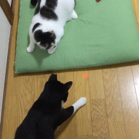 呼び出したいときの画像