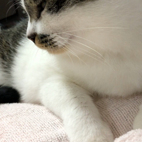 あえてそこ。の画像