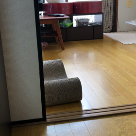 肥満細胞腫 闘病記⑦手術の画像
