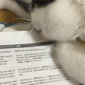 刺客の画像