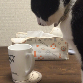 しつけの画像