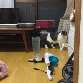 闘いの画像