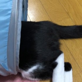 俺のもんだーの画像