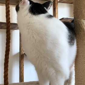 穴蔵の画像