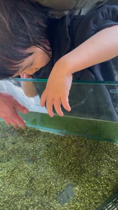 地元にある、海浜自然センター！の記事動画