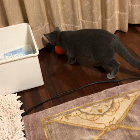 メイちゃん 少し慣れてきたかなの画像