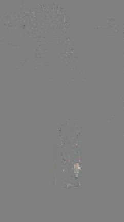 お散歩中^_^の記事動画