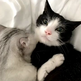 222 22時2分❤️❤️❤️の画像