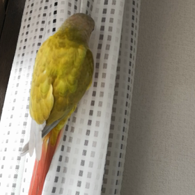 首上下の仕草の画像