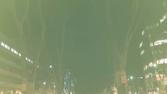 光のページェントの記事動画