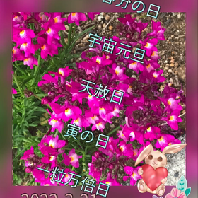 春分の日＋宇宙元旦ですの画像