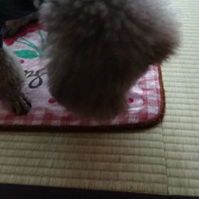 壊れる〜〜〜(^^;の画像