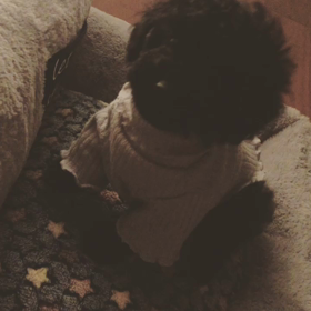 ❤️の画像