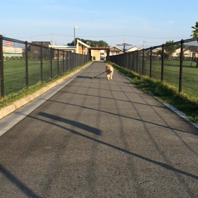 涼しくなりましたの画像
