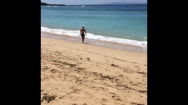 朝からの記事動画