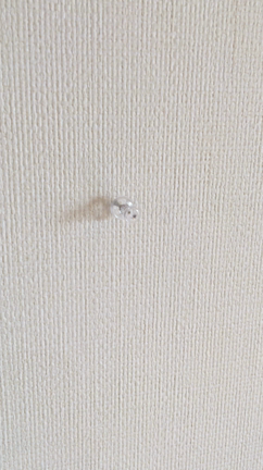 画びょうの穴を一発で消すにはコレ！の記事動画