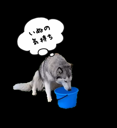 我が家には(~_~;)オッサンがいっぱい❤️の記事動画