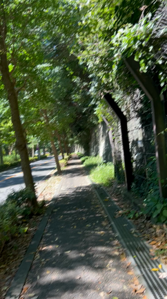 最近のいろいろ・・・・(^^♪の記事動画