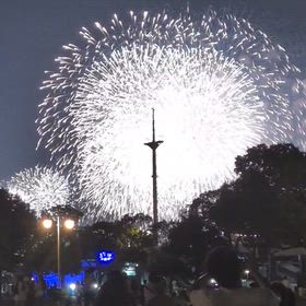 ꕤ︎︎ 花火 ꕤ︎︎の画像