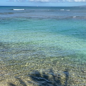 動画を貼り付けてみました✨の画像