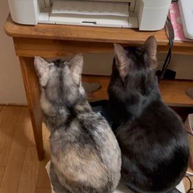 無事終了の画像
