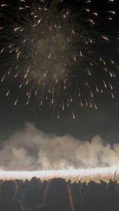 今年の夏もの記事動画