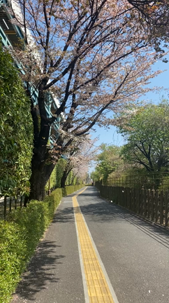 春も折り返しの記事動画
