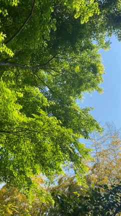 鰻に説法にの記事動画