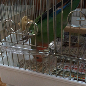 でんぐり返りの画像