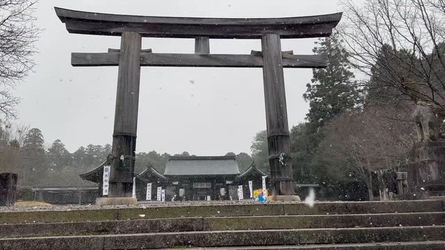 吉野神宮　初詣　合格祈願の記事動画