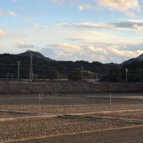 9866レの画像