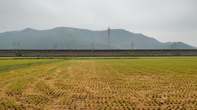 今晩はコレ〜♪の記事動画