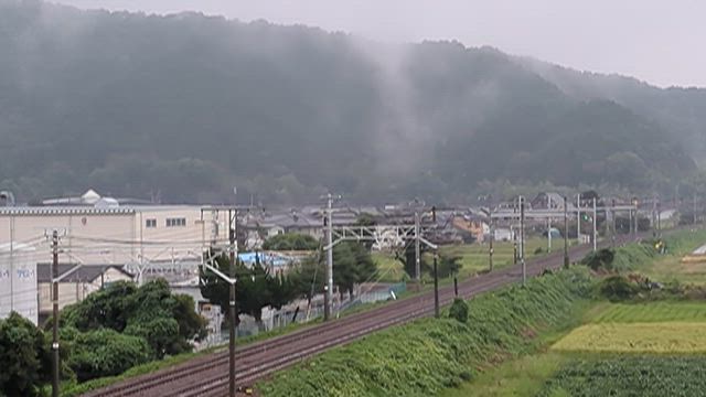 今晩はコレ〜♪の記事動画