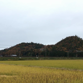 ニーナのエスコートで動画の画像