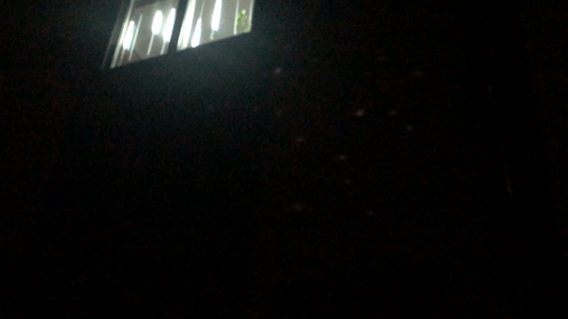 イルミネーションの記事動画